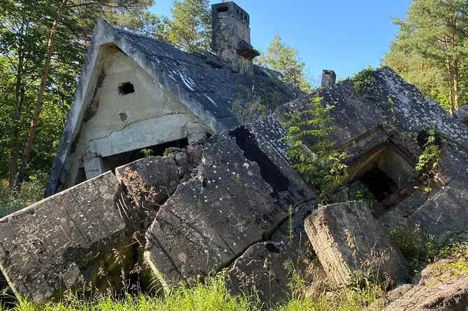 d6