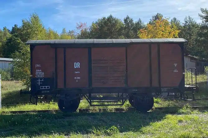 d6